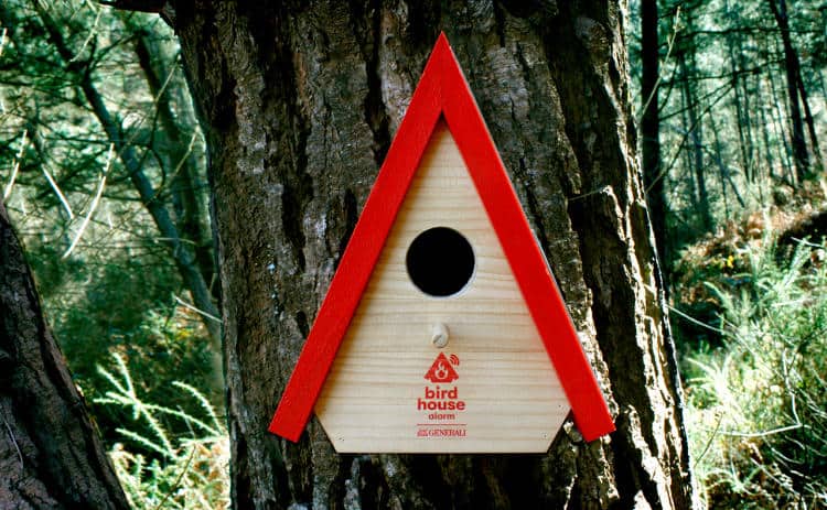 3059394-slide-2-these-Bird House-will-send-out-a-signal-if-theres-a-forest-f-min