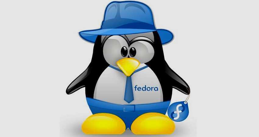 fedora 29