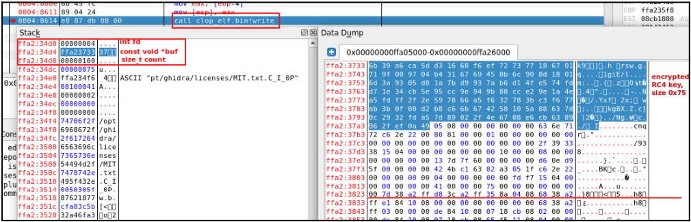 Clop ransomware linux