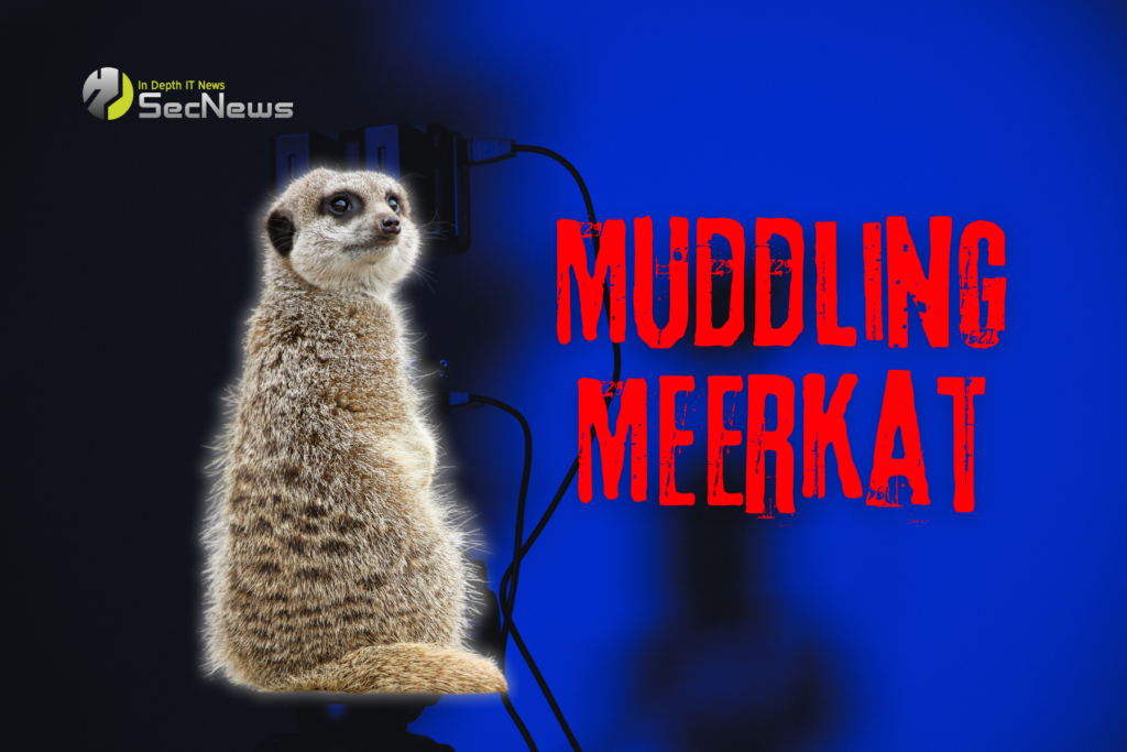 Muddling Meerkat